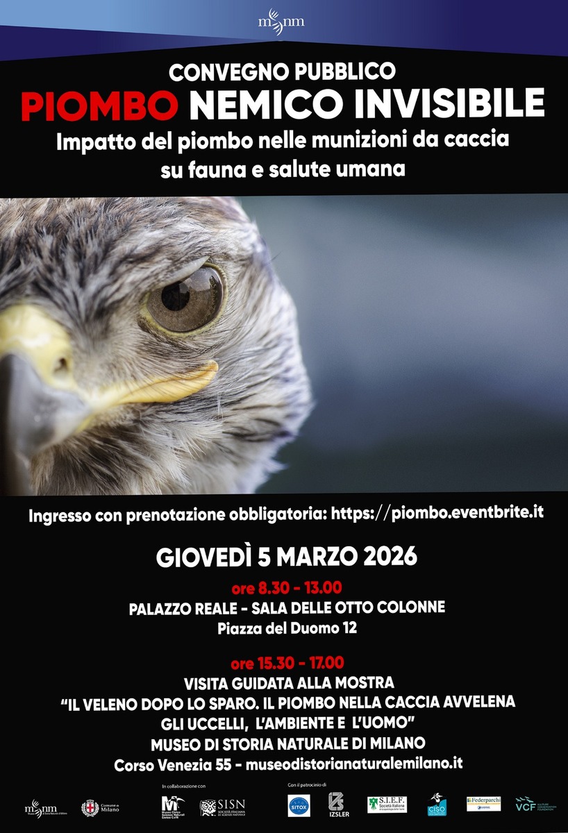 workshop-piombo-nemico-invisibile-impatto-del-piombo-nelle-munizioni-da-caccia-su-fauna-e-salute-umana