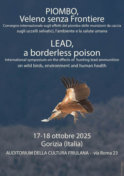 piombo-veleno-senza-frontiere-convegno-internazionale-sugli-effetti-del-piombo-delle-munizioni-da-caccia-sugli-uccelli-selvatici-l-ambiente-e-la-salute-umana